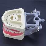 860 Upper Hollow Jaw